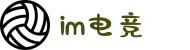 IM(股份有限公司)电竞-电子竞技平台